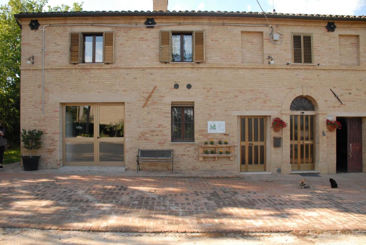 Fattoria Nonno Neno B&B Appignano  Extérieur photo