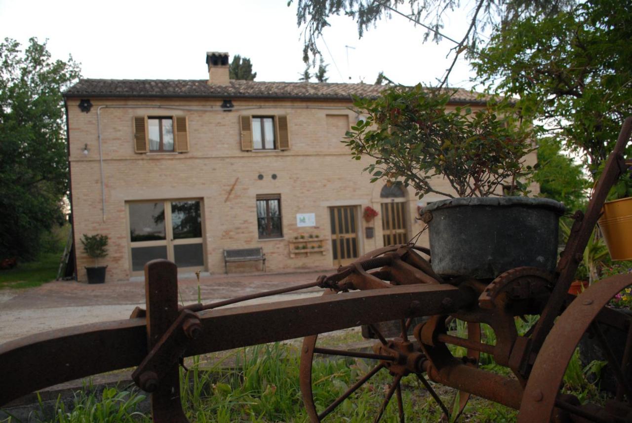 Fattoria Nonno Neno B&B Appignano  Extérieur photo